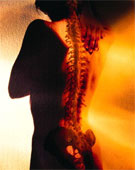 Pain Councelling/Advisor- Free appointment