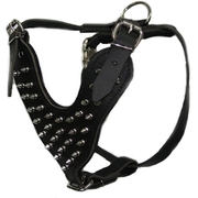 leather spiked  dog harness